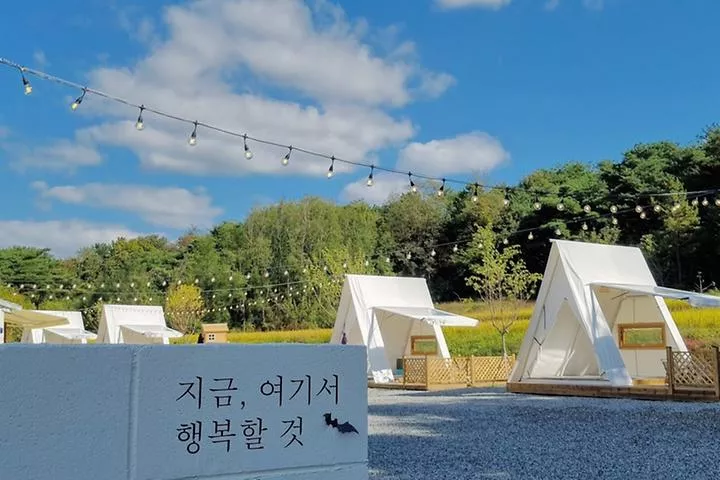 논논캠프 1