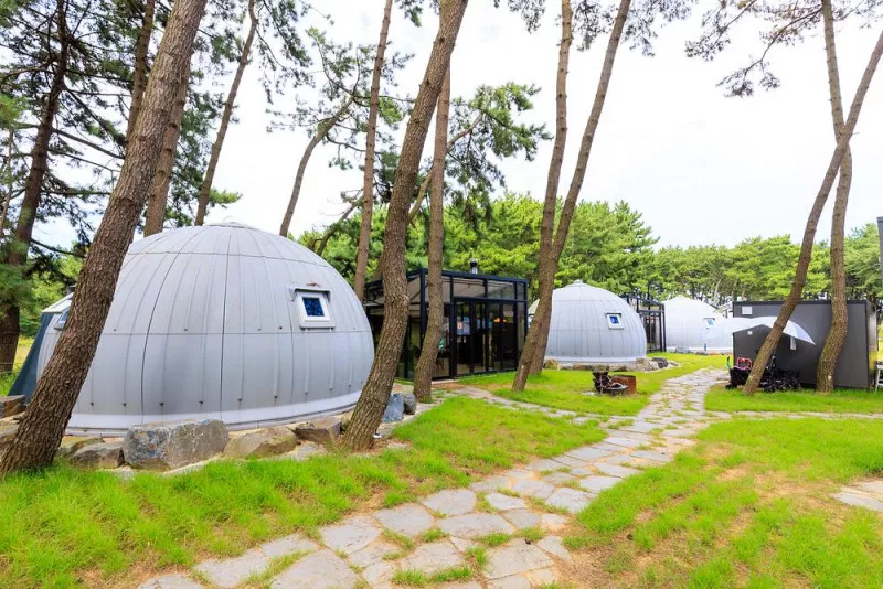 서천 장항글램핑장 7