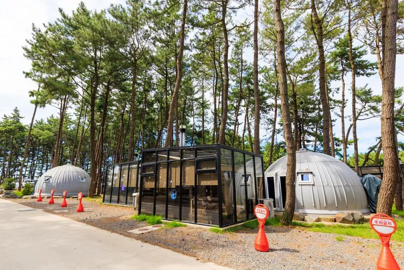 서천 장항글램핑장 11
