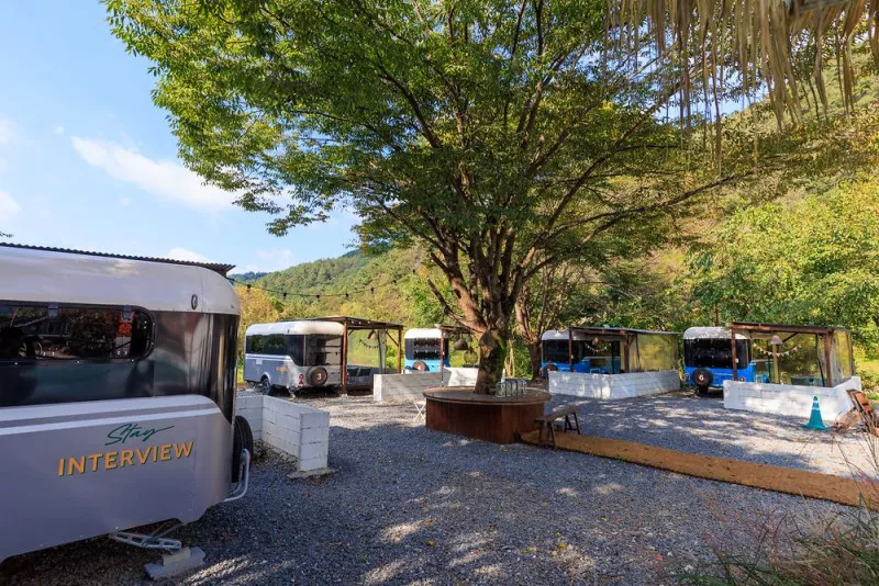 스테이 인터뷰 금산 4