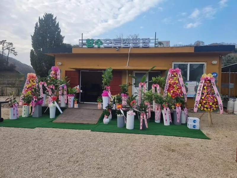 향수 오토캠핑장 5