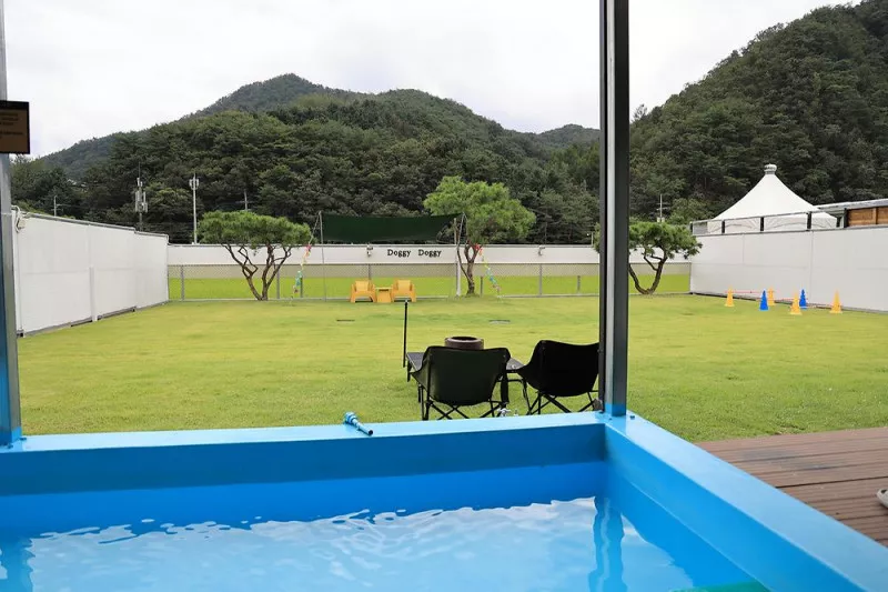 도기도기캠프 8