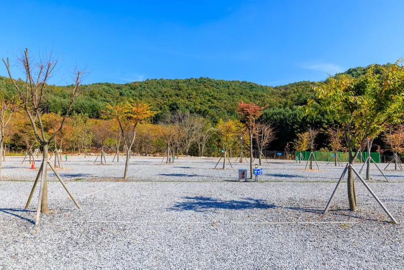 노리터 키즈 캠핑장 7