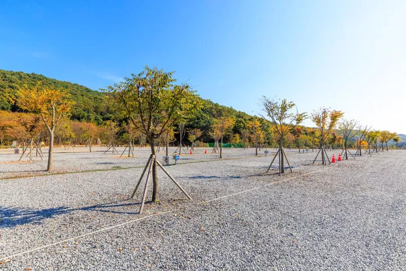 노리터 키즈 캠핑장 6