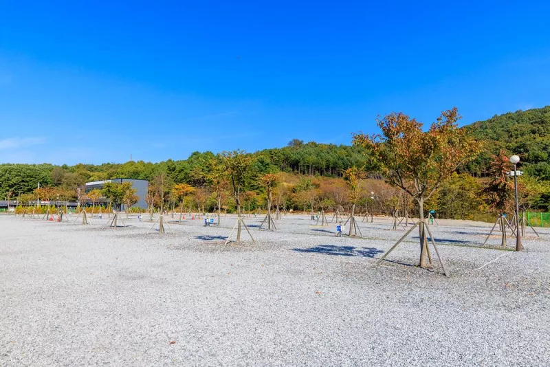 노리터 키즈 캠핑장 8