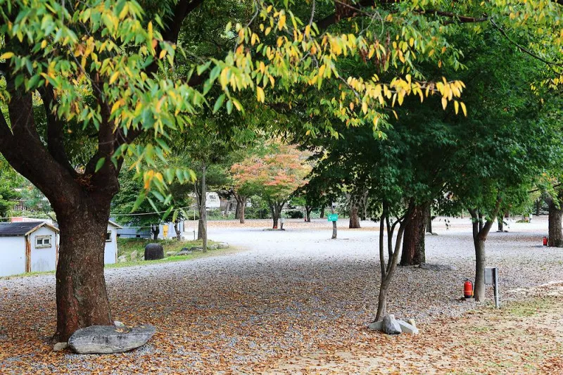 청정 캠핑장 11