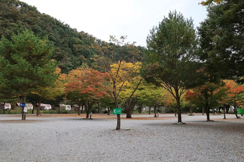청정 캠핑장 10