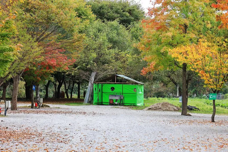 청정 캠핑장 9