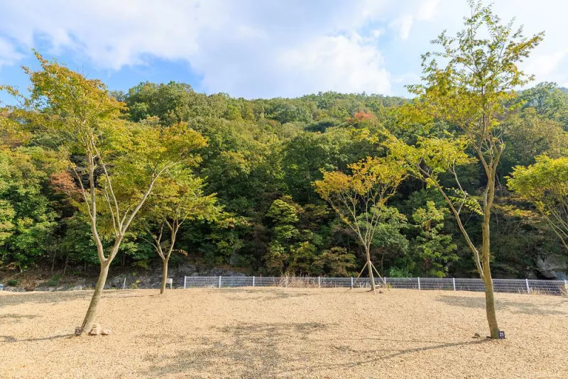 산내캠핑일기 8