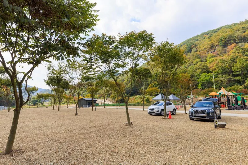 산내캠핑일기 9
