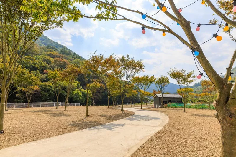산내캠핑일기 11