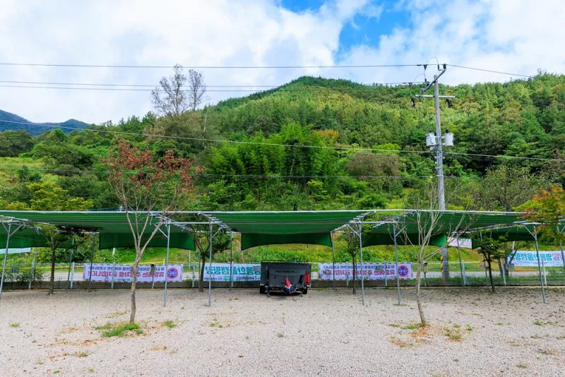 영동 한울 캠핑장 6