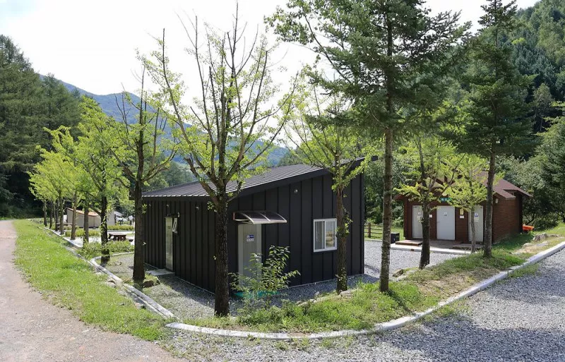 태백고원자연휴양림 자동차야영장 10