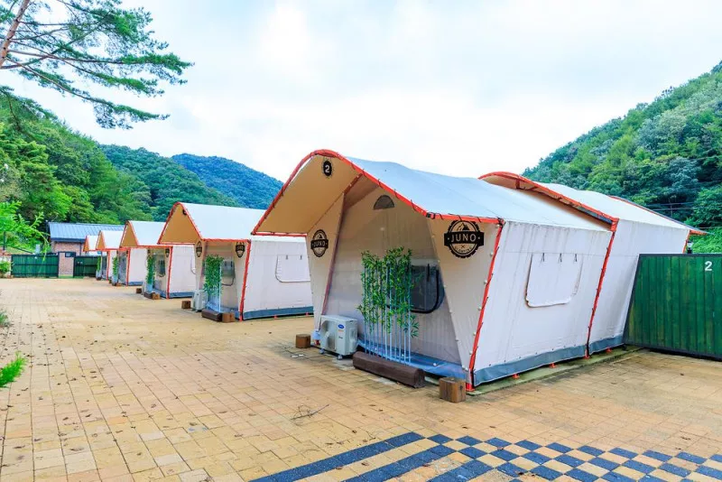 오로라 6