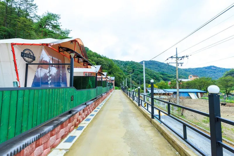 오로라 9