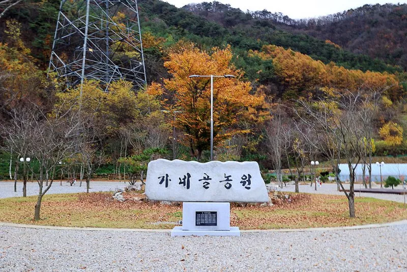 가네골농원 3