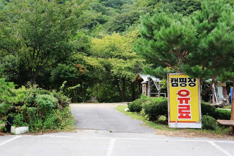 용대 황지 캠핑장 11