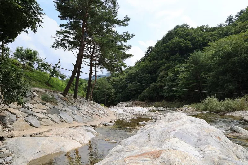 용대 황지 캠핑장 8