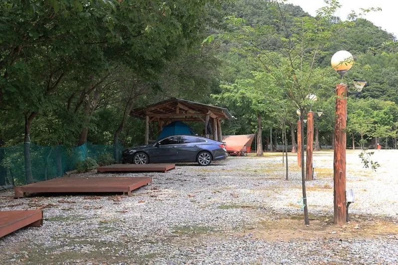 용대 황지 캠핑장 6