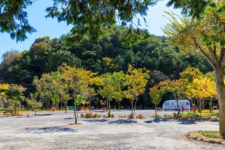 마실야영장 1