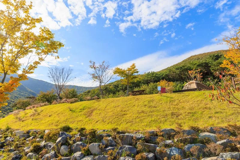 거금도 청석 오토캠핑장 11