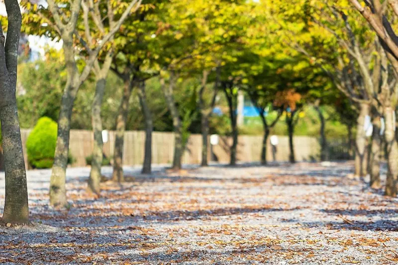 안면도마린오토캠핑장 4