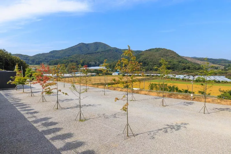 진천포레스트캠핑장 3