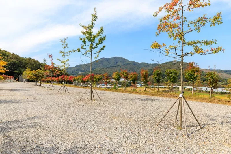진천포레스트캠핑장 6