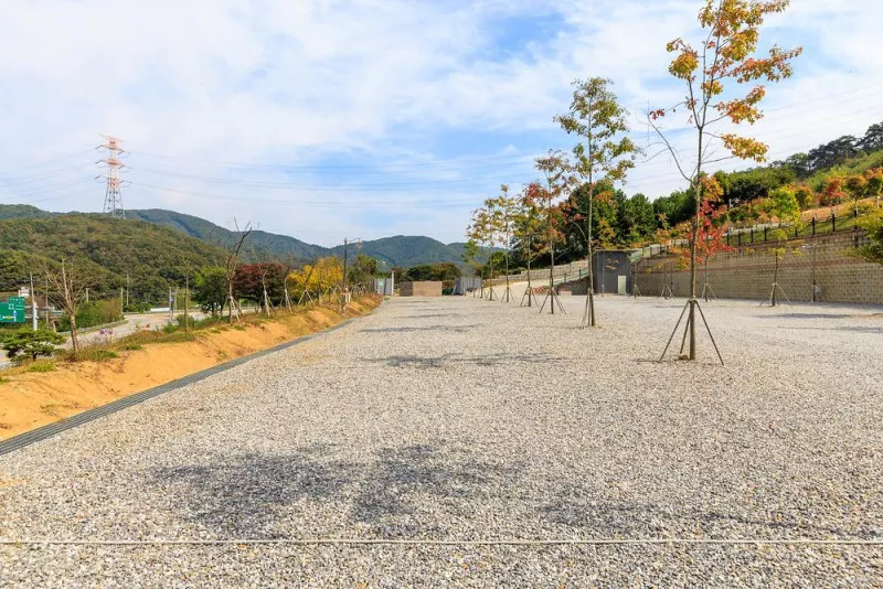 진천포레스트캠핑장 11