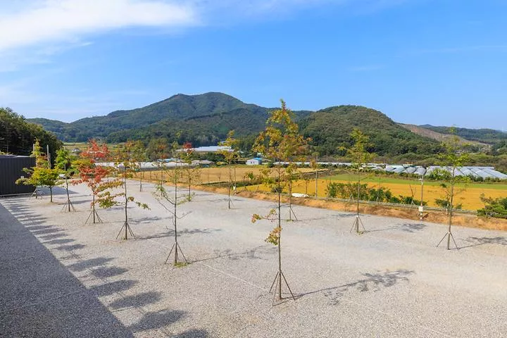 진천포레스트캠핑장 1