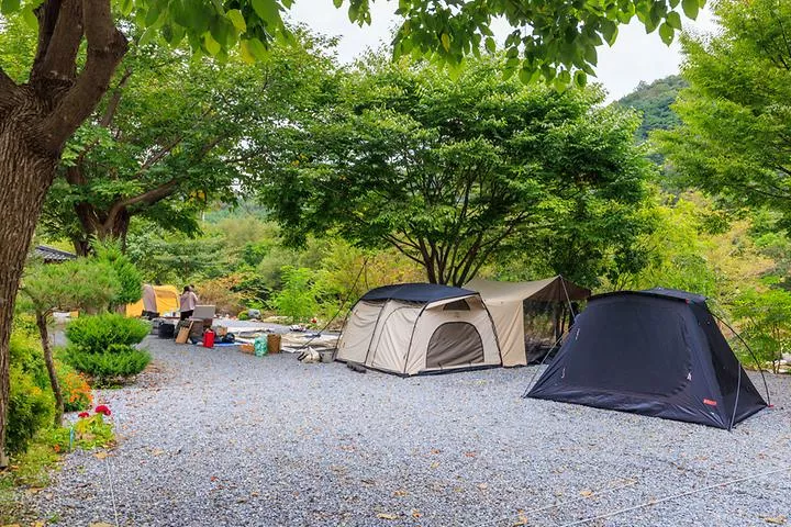꽃댕이오토캠핑장 1
