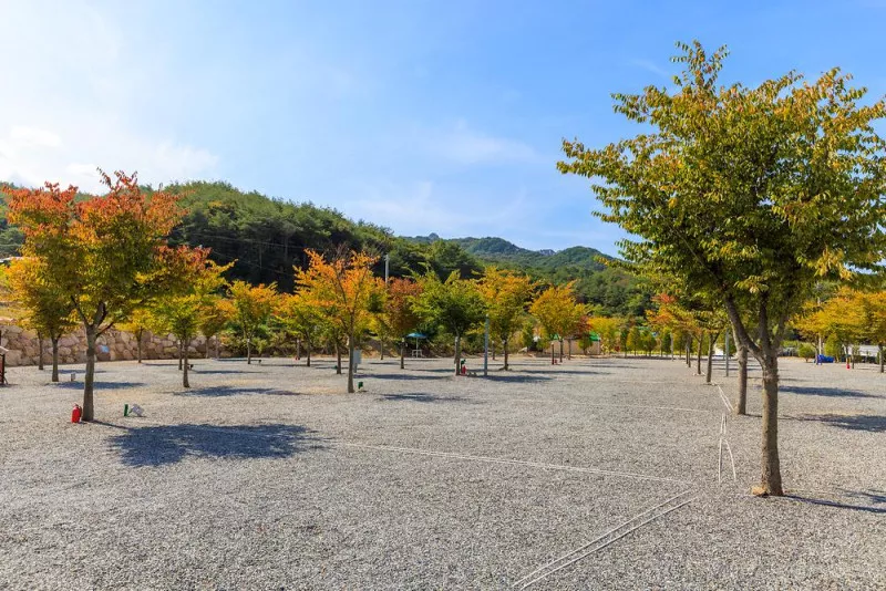 속리산365캠핑장 10