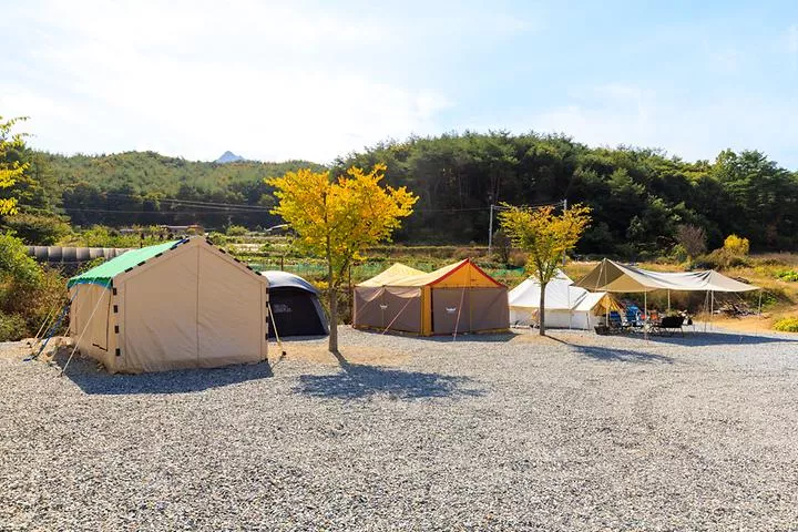 속리산365캠핑장 1