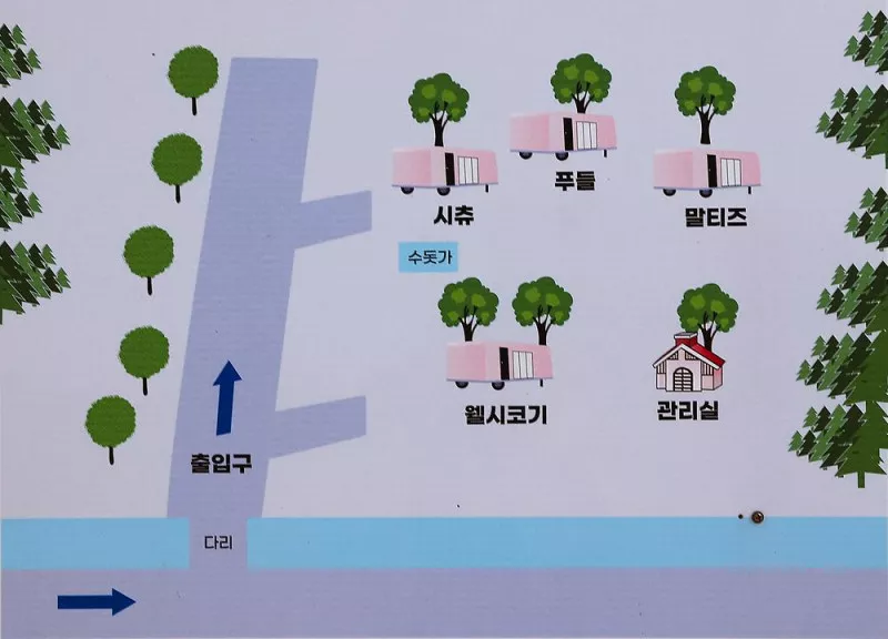 캠프 애니말 9