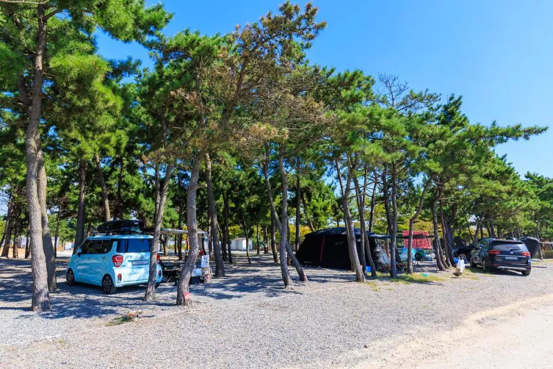 어은돌오토캠핑장 4