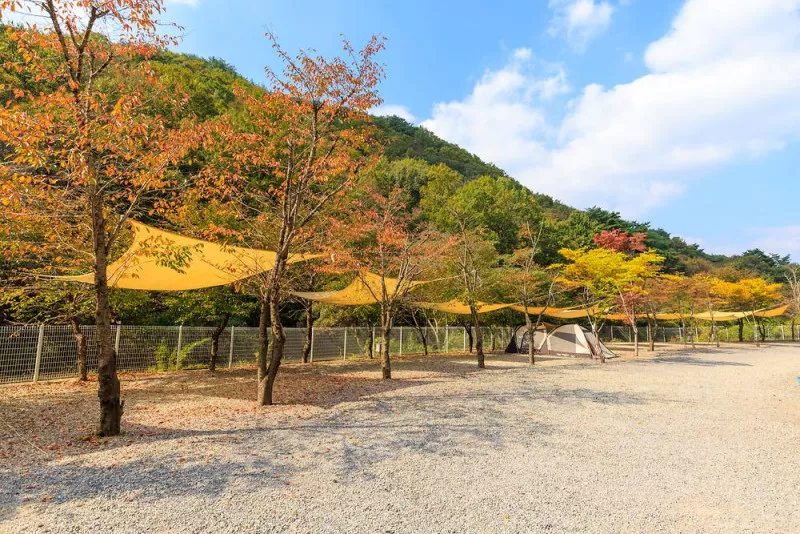 오솔길 오토 캠핑장 8