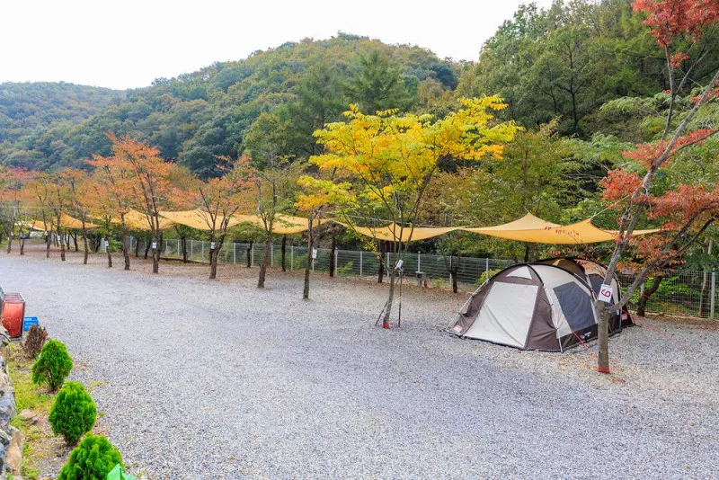 오솔길 오토 캠핑장 6
