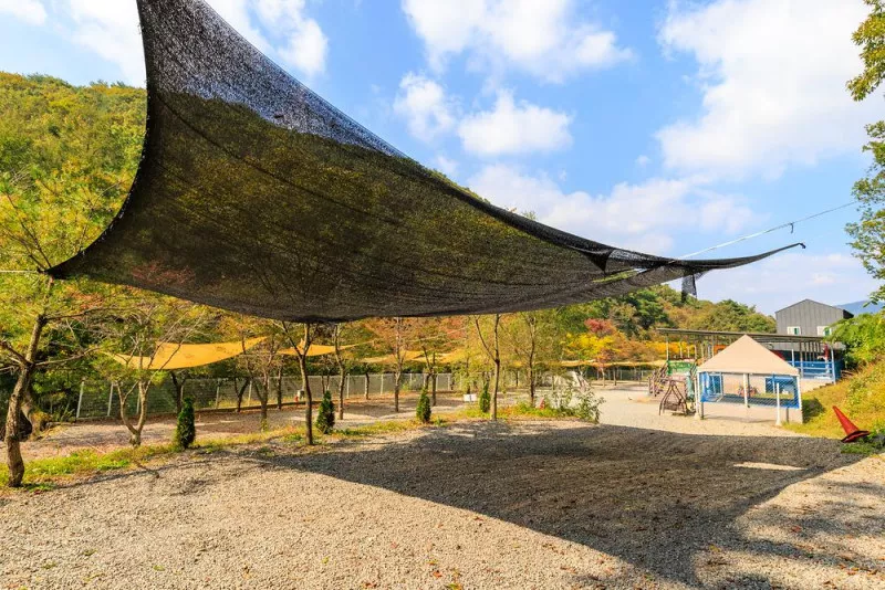 오솔길 오토 캠핑장 7