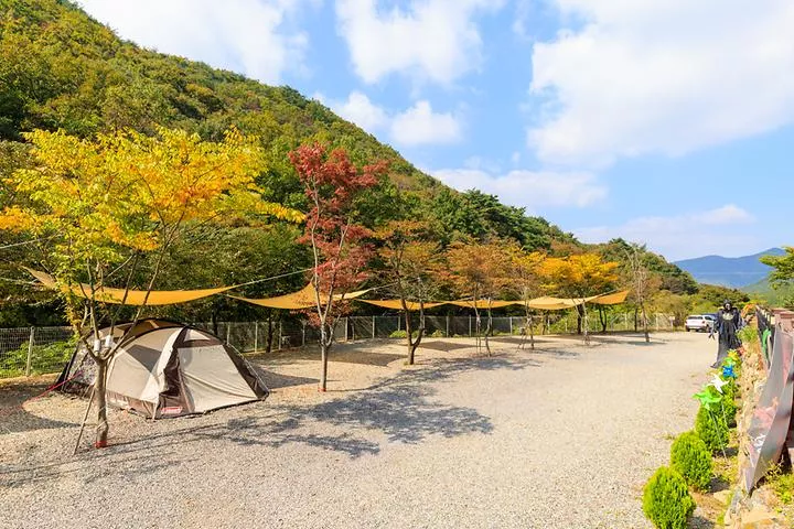 오솔길 오토 캠핑장 1