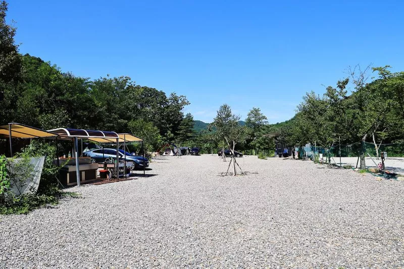 삼척안뜰캠핑장 9