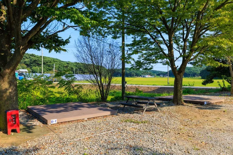 안면도힐링캠핑장 10