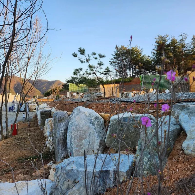 홍천태극캠핑장 6