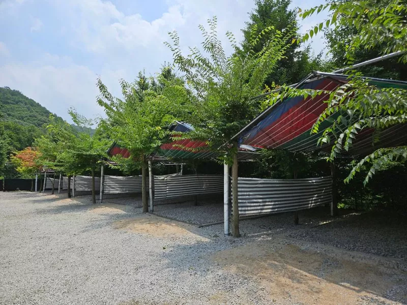 개네집캠핑장 8