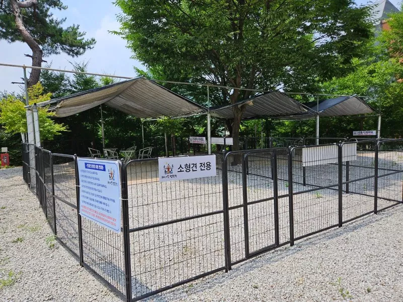 개네집캠핑장 5