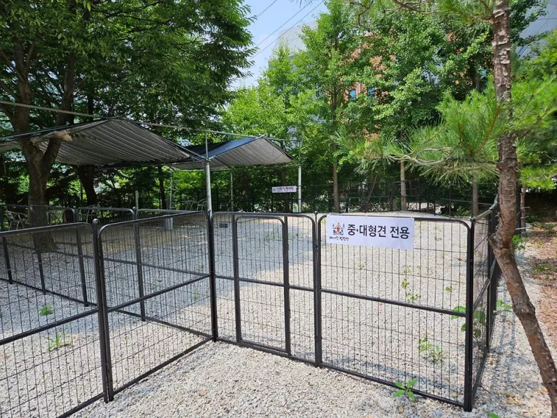 개네집캠핑장 6