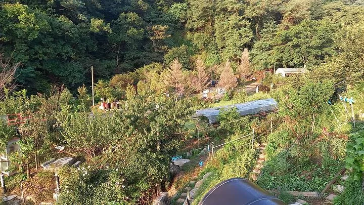 양명힐링캠프 1