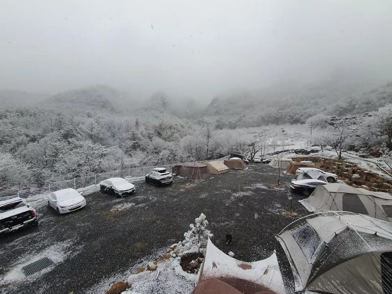 별밤 차박 캠핑장 7