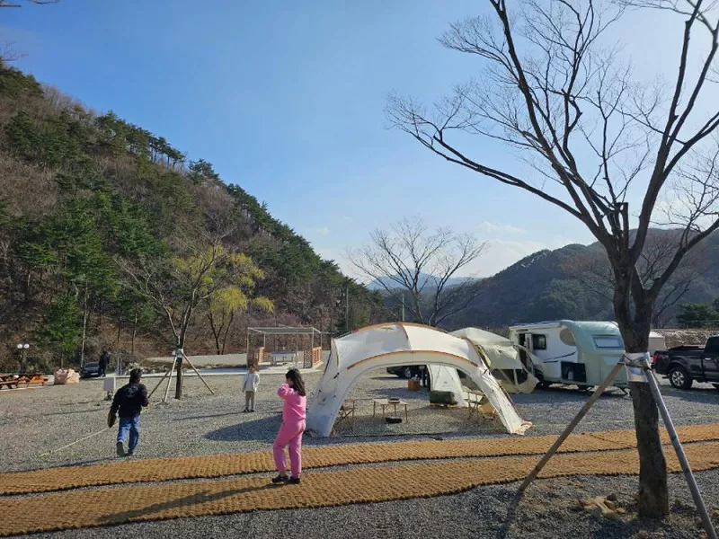 별비담캠핑장 5