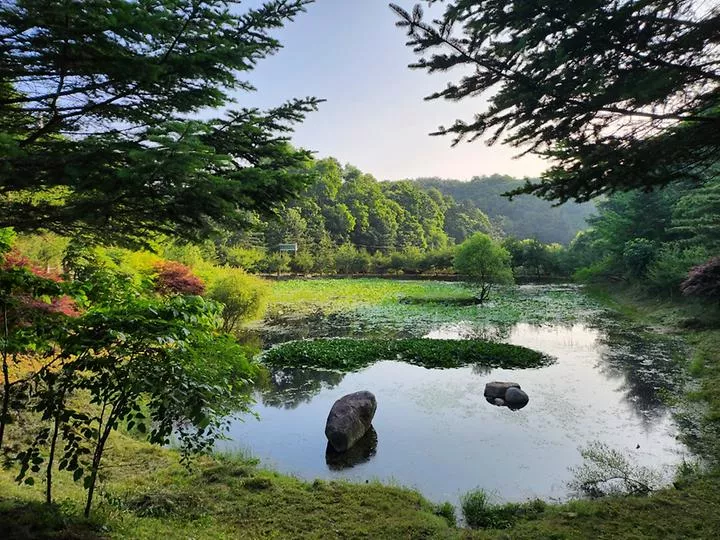 도모 횡성 1