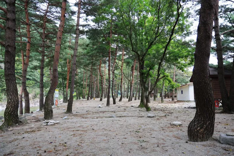 해담마을 야영장 8